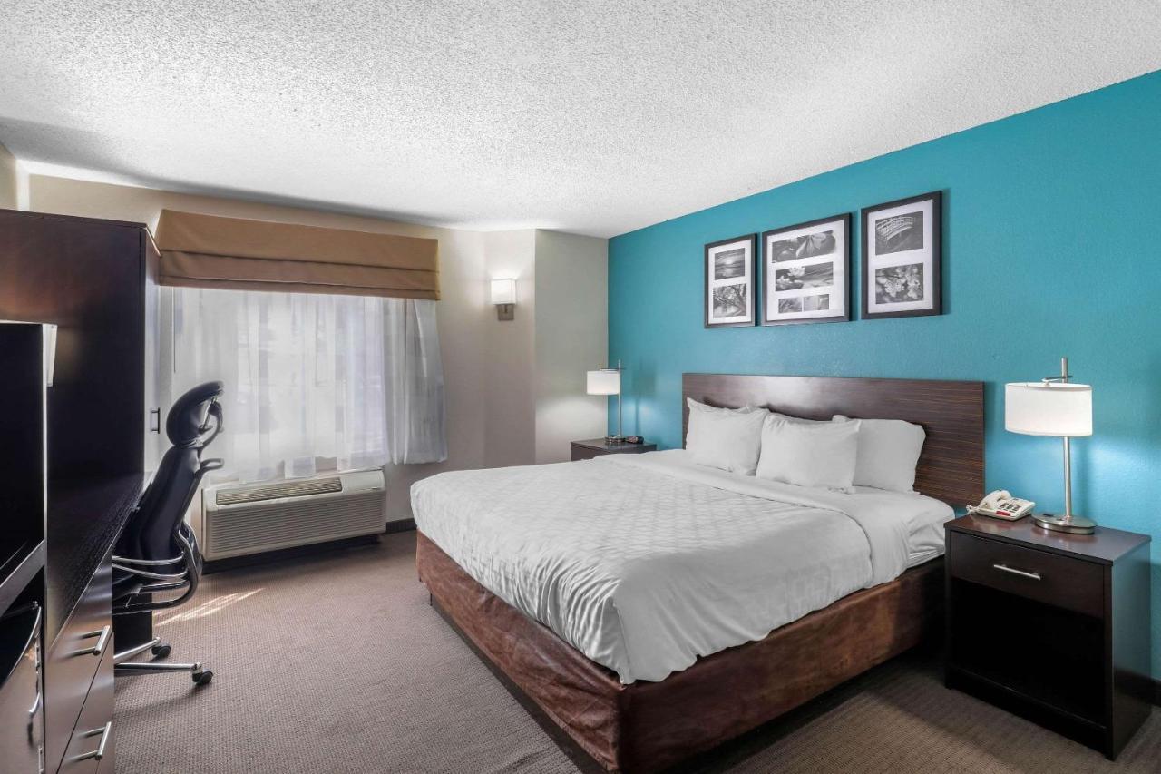 Clarion Inn & Suites Dfw North Irving Eksteriør bilde
